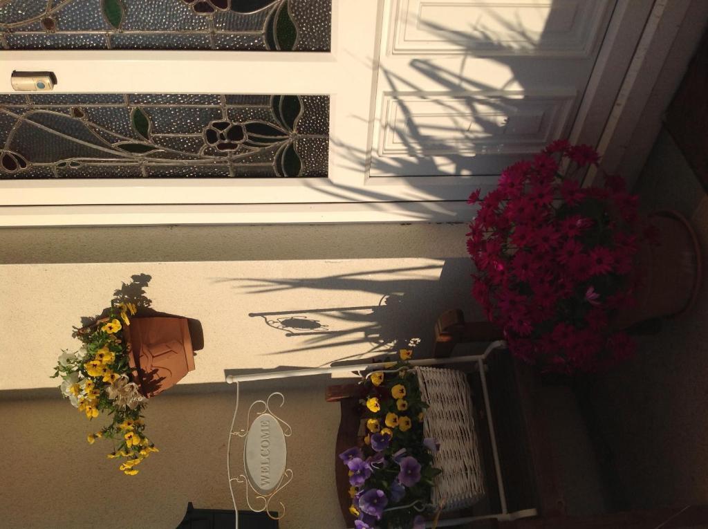 Bed and Breakfast Annandale House Dublino Esterno foto